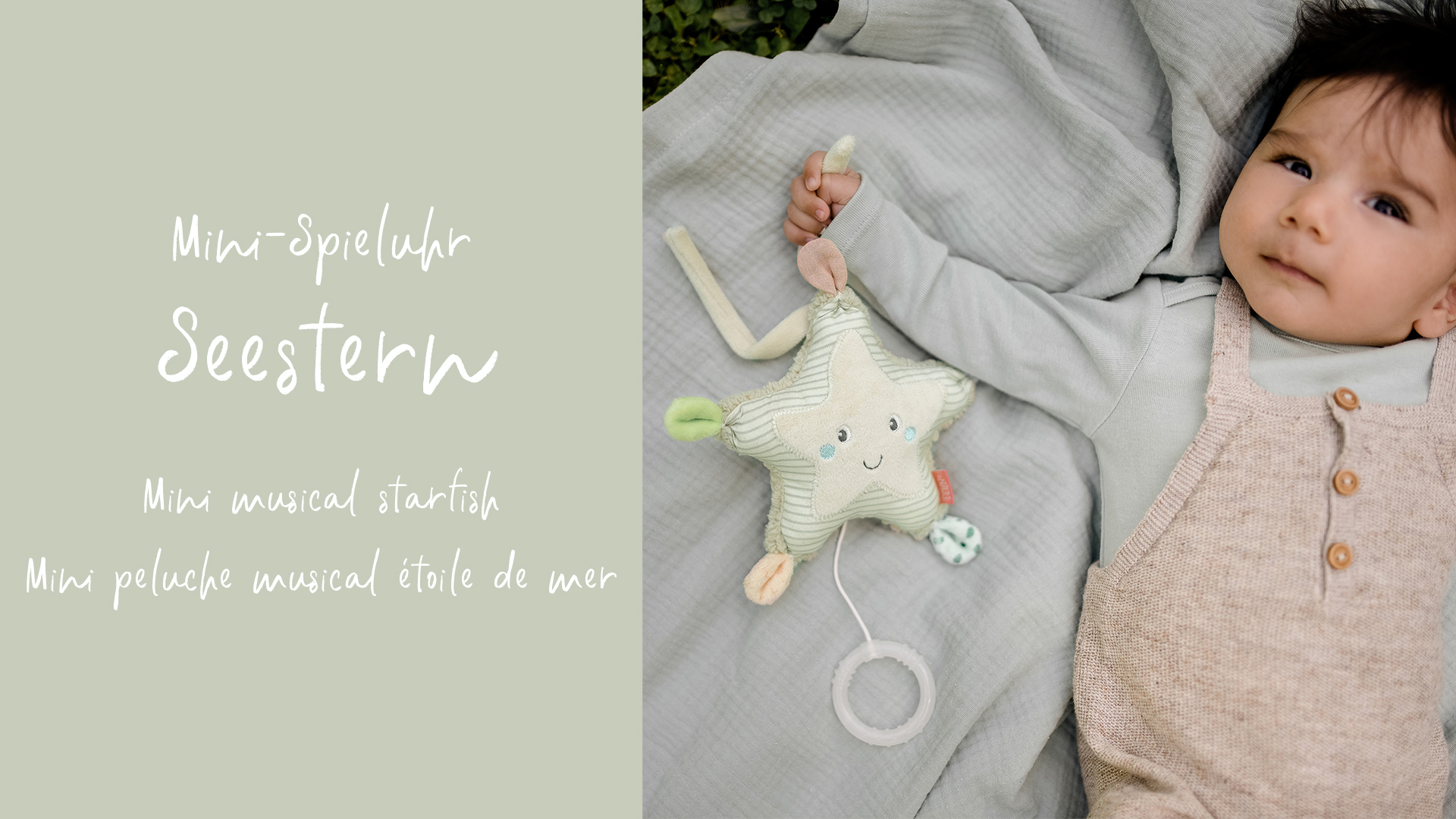 Mini musical starfish