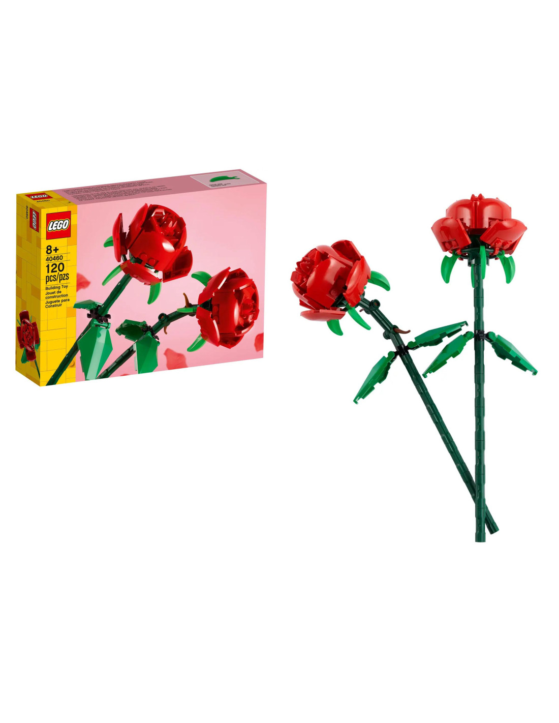 Botanical Rose