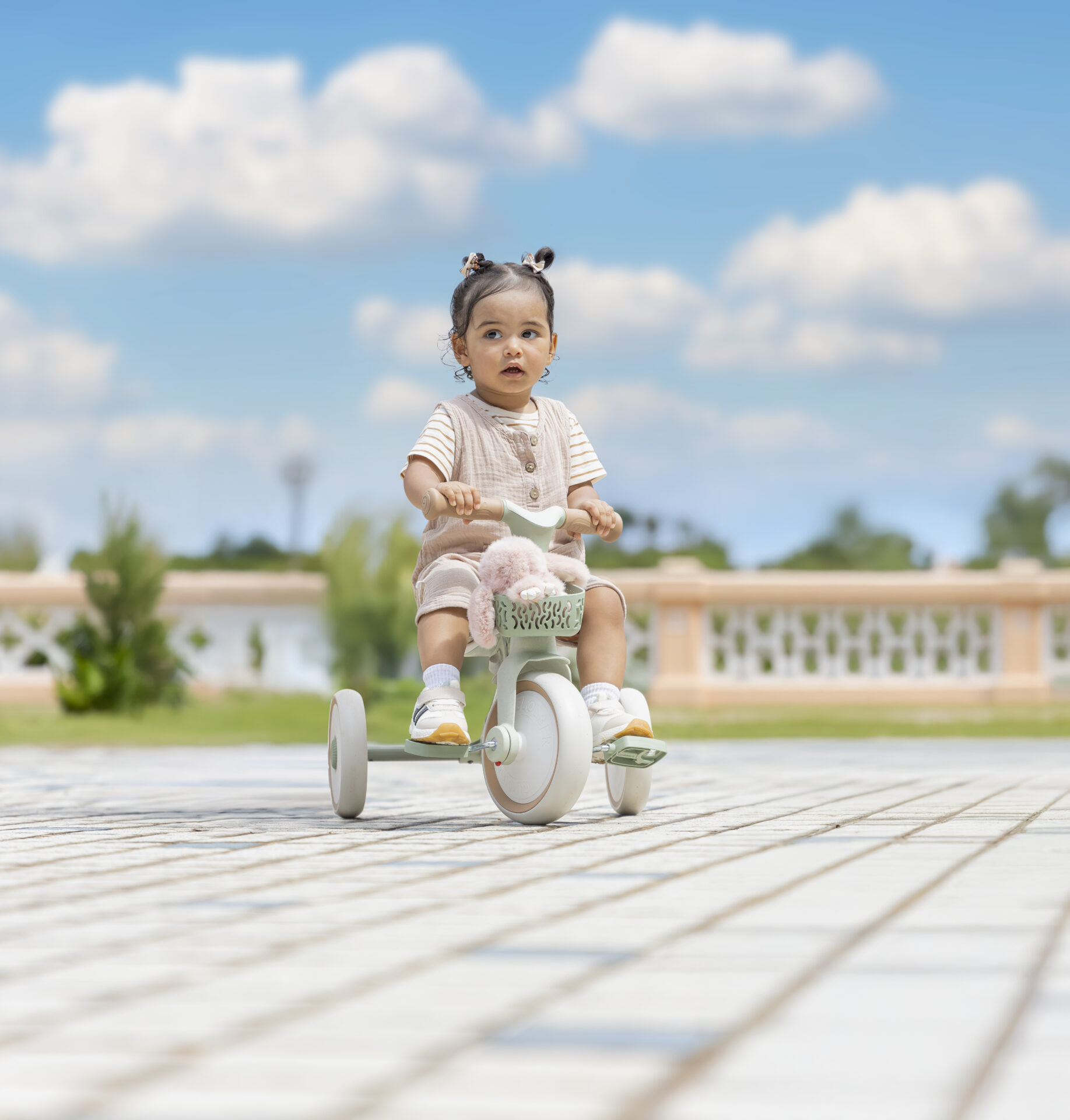 LEARNING TRIKE  2 EN 1 PLUS EVOLUTIF ECO LOGIC  Pistachio