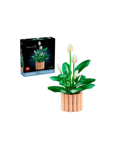 Botanicals Spathiphyllum -